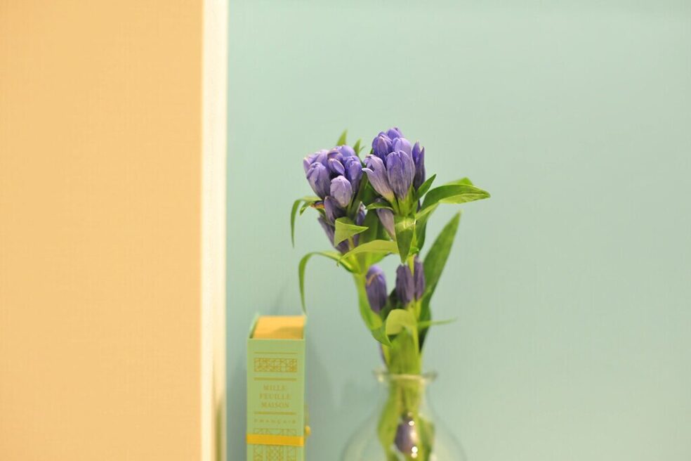 appearance-beauty-clinic-4